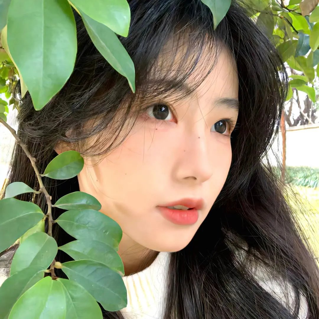 鸟姐妹的反差生活第三季封面