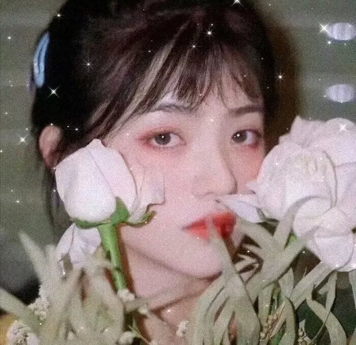 果戈里：恶灵封面